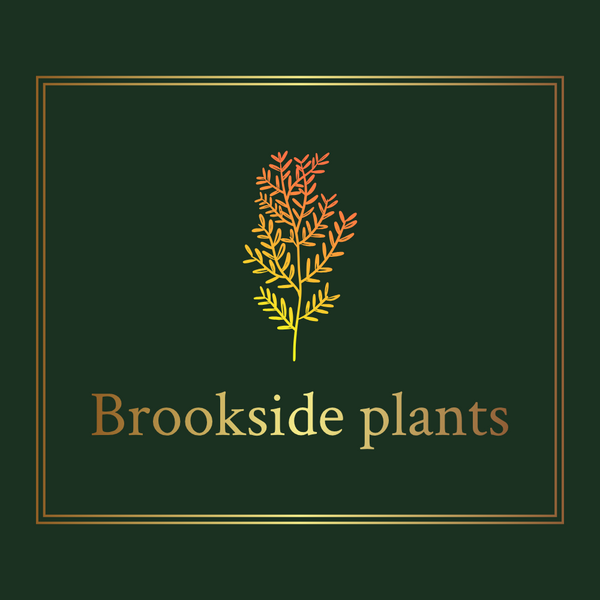 Brookside Plants