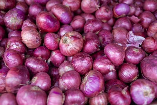 Onion - Red Brunswick (100 Seeds)