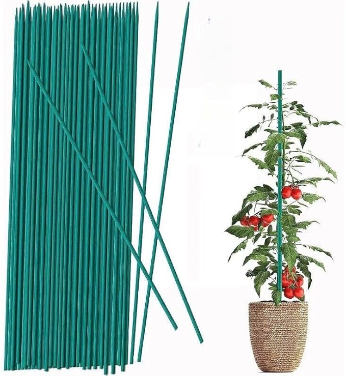 Green Plant Support Sticks – 50 pack 60cm Bamboo Stakes